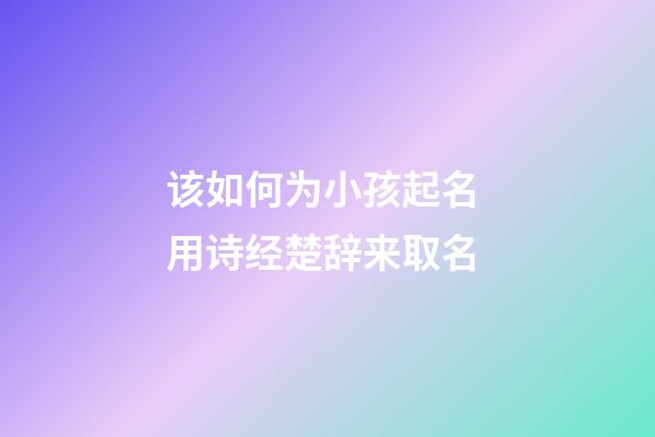 该如何为小孩起名 用诗经楚辞来取名